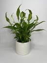 Rope Planter 2