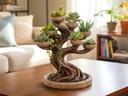 Bonsai Planter
