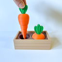 Carrot Toys w/ Planter Box